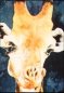 Who Me?, Watercolor, Marcella Wheatley