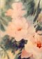 Three Pink Blossoms, Watercolor, Marcella Wheatley