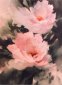 Pink Floral, Watercolor, Marcella Wheatley