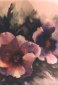 Pansies Purple, Watercolor, Marcella Wheatley