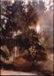 Forest Filtering Light, Watercolor, Marcella Wheatley
