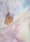 Fragile Beauty, Watercolor, Marcella Wheatley