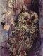Ink Owl, Ink &  Watercolor, Marcella Wheatley
