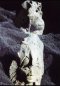 Vision Quest, Carved Stone, Marcella Wheatley