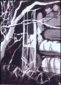 Shadows of Time, Ink Wash, 10x8, Marcella Wheatley