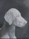 Orion, Graphite, Marcella Wheatley