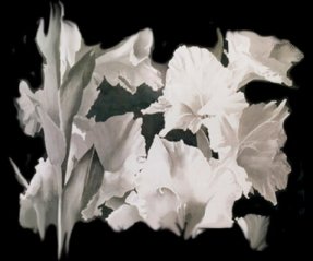 Marcella Wheatley, Images of Nature, Watercolor Paintings