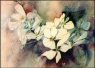 Nature's Beauty 2 Gallery, Marcella Wheatley
