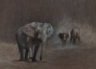 Africaan Gallery, Marcella Wheatley