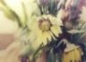 Nature's Beauty Gallery, Marcella Wheatley