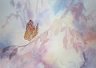 Lepidoptera Gallery, Marcella Wheatley