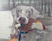 Rigel, Colored Pencil, Marcella Wheatley