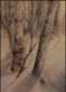 Silent Passage, Print, Marcella Wheatley