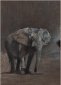 Cadence, Print, Marcella Wheatley